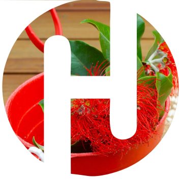 Host Image